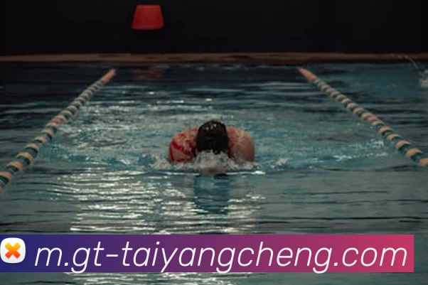 太阳城娱乐平台生态图